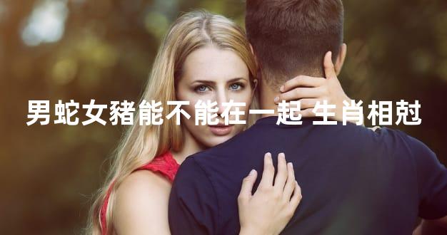 男蛇女豬能不能在一起 生肖相尅